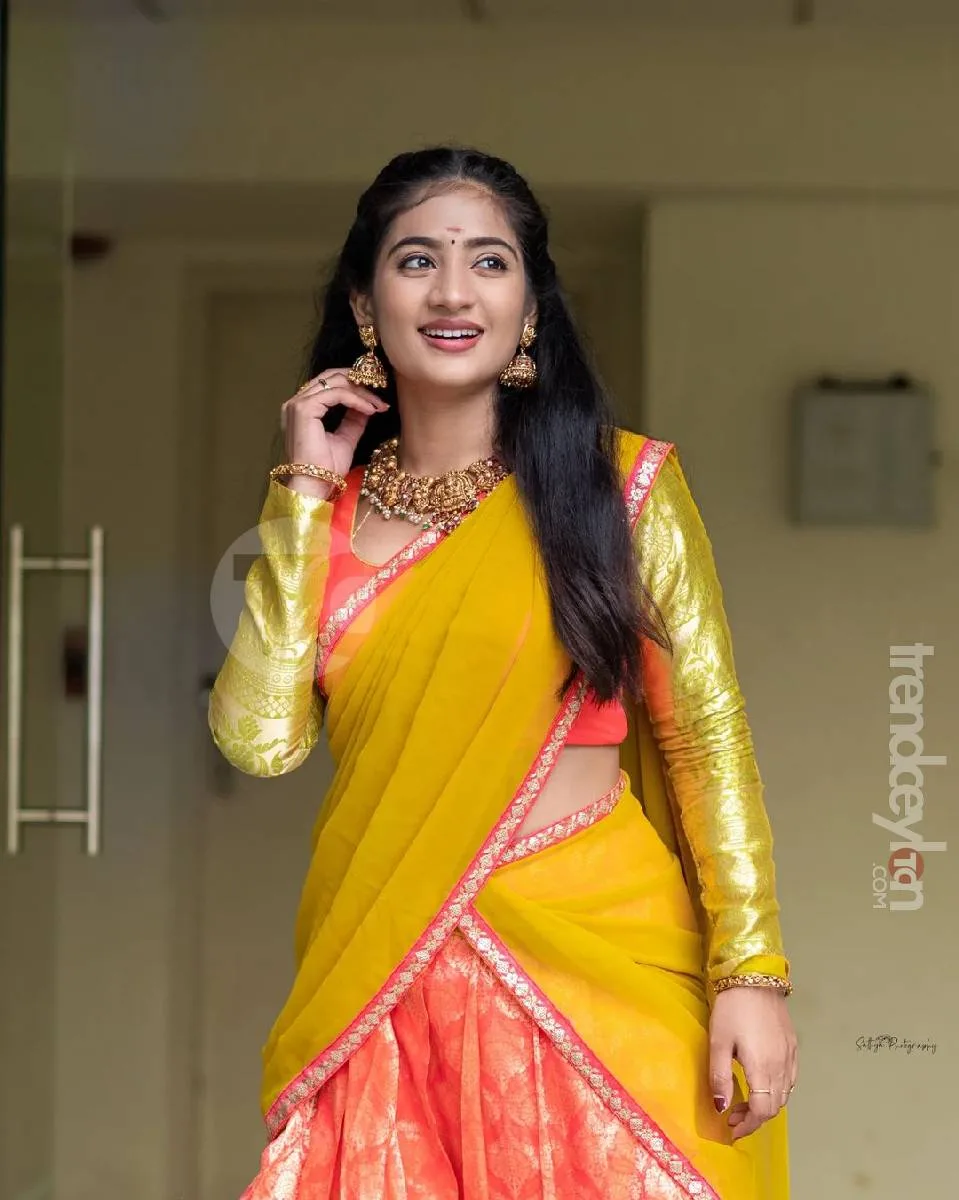 Sun Tv Serial Actress Saree