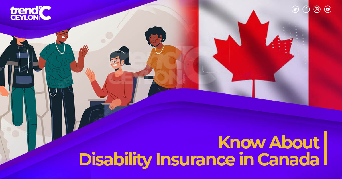 Know About Disability Insurance In Canada Trendceylon   Know About Disability Insurance In Canada 